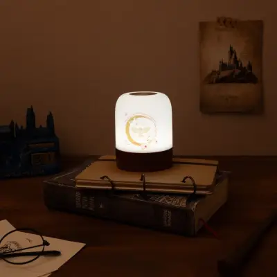 HARRY POTTER - Room Lamp - Figurine